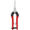 imageFELCO F2 Classic Hand Pruner  Felco F 910 HolsterF 2