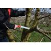 imageFelco Pruning Saw F 611  Classic Tree Pull Stroke Pruner Saw w Carrying Sheath