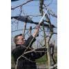 imageFelco Pruning Saw F 611  Classic Tree Pull Stroke Pruner Saw w Carrying Sheath