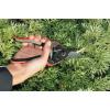 imageFelco Pruning Shears F 160S  High Performance Swiss Made OneHand Garden Pruner with Steel Blade w Composite Fiber Handle
