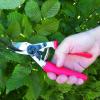 imageFelco Pruning Shears F 6  High Performance Swiss Made OneHand Garden Pruners  100052385F 12