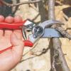 imageFelco Pruning Shears F 6  High Performance Swiss Made OneHand Garden Pruners  100052385F 2