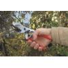 imageFelco Pruning Shears F 6  High Performance Swiss Made OneHand Garden Pruners  100052385F 31