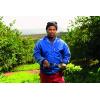imageFelco Pruning Shears F 6  High Performance Swiss Made OneHand Garden Pruners  100052385F 5