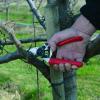 imageFelco Pruning Shears F 6  High Performance Swiss Made OneHand Garden Pruners  100052385F 6