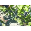 imageFelco 459067 200 A Straight Cutting Head Expert Loppers with Aluminum Tubes 24In SilverredRed