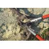 imageFelco 459067 200 A Straight Cutting Head Expert Loppers with Aluminum Tubes 24In SilverredSilverRed