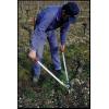 imageFelco Pruning Loppers F 21150  Heavy Duty Ergonomical Hedge ampamp Tree Limb Trimmer 50cm331 in