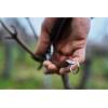 image:imageFELCO 6 ELITE Pruning Shears  77 SwissMade Garden Clippers with LeatherWrapped Handle for Medium Right Hands  Hand Pruners for Gardening  Garden Tool Cutter with Bypass Blade Aluminum BodyClassic